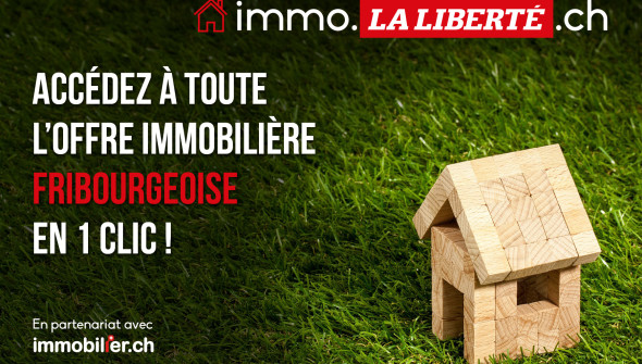 ACCROCHE_WEB_IMMO